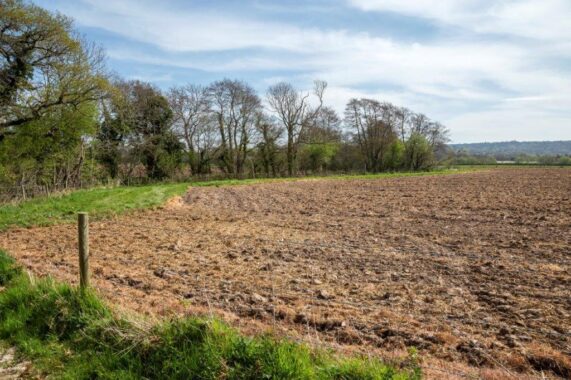 Flexcombe Farm, Liss (7)