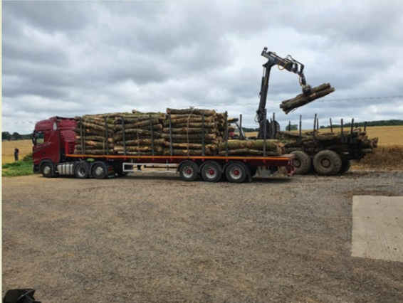 moundsmere farming company wood thinning programme