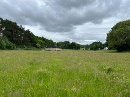 Field and Barn at North Waltham (10)