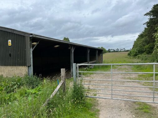 Field and Barn at North Waltham (2)