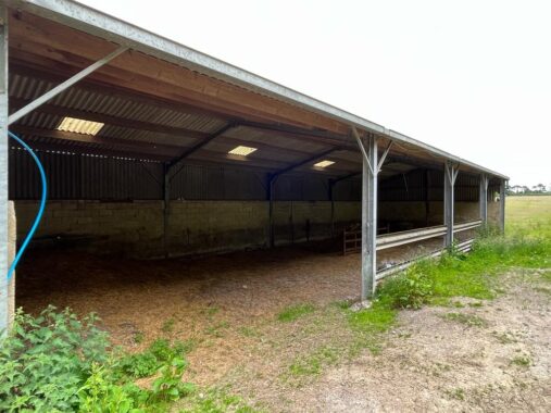 Field and Barn at North Waltham (4)