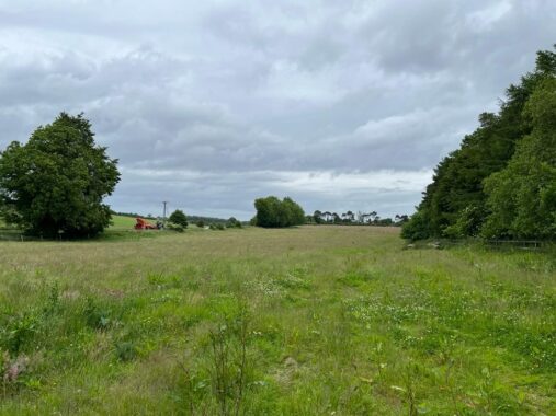 Field and Barn at North Waltham (5)