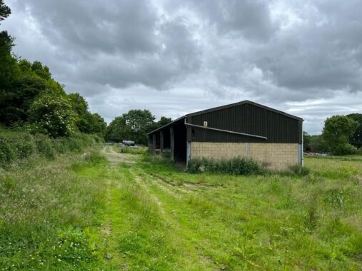 Field and Barn at North Waltham (6)