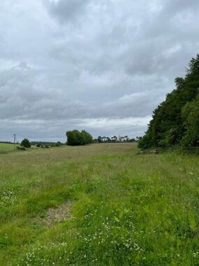 Field and Barn at North Waltham (7)