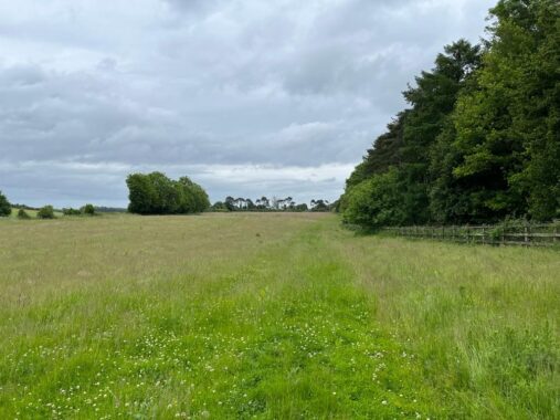 Field and Barn at North Waltham (8)